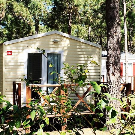 Orbitur Sitava Milfontes Bungalows - Caravan Park Odemira Exteriér fotografie